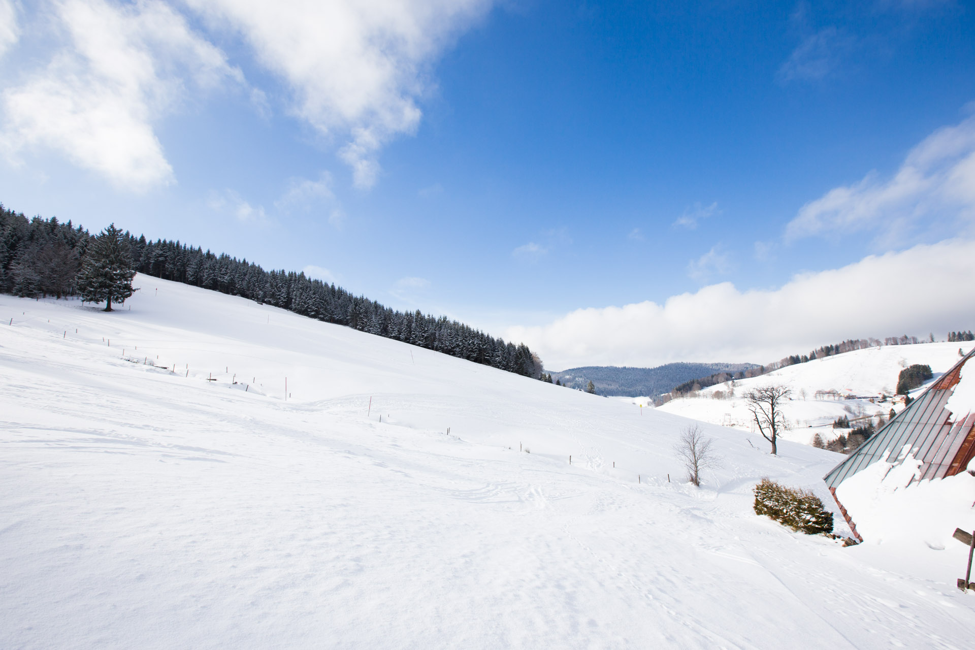 Winter view by the Black Forest group chalet in Todtnauberg